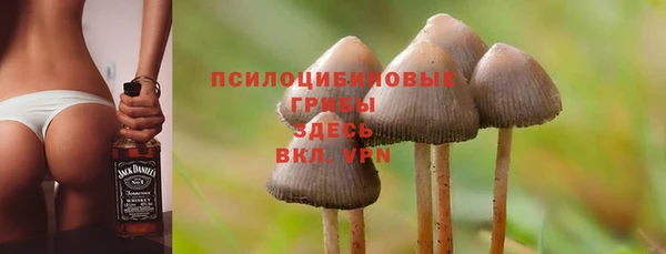 дмт Алексин