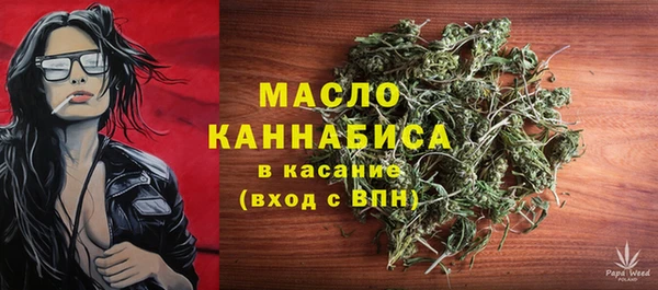 дмт Алексин