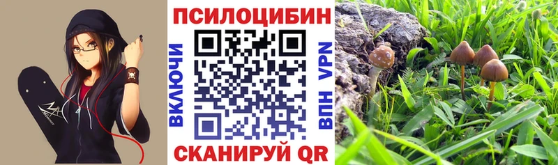хочу   Хвалынск  Галлюциногенные грибы прущие грибы 